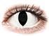 Crazy Lens - Cat Eye White - Ei-dioptriset