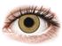 Topvue Daily Color - Pure Hazel - P�ivitt�islinssit Ilman Voimakkuuksia