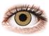 Topvue Daily Color - Brown - P�ivitt�islinssit Ilman Voimakkuuksia