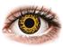 Crazy Lens - Cheetah - Ei-dioptriset