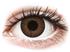 Topvue Color Daily - Brown - Tehoilla