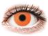 Colourvue Crazy Glow Orange - Ilman Nnkorjausta