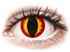 Colourvue Crazy Lens Dragon Eye - Ilman Nnkorjausta Kertakytt