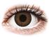 Topvue Color Daily - Brown - Ilman N��nkorjausta