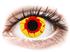 Colourvue Crazy Reignfire