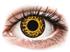 Crazy Lens - Cheetah - Ei-dioptriset