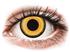 Crazy Lens - Midnight Sun - Tehoilla